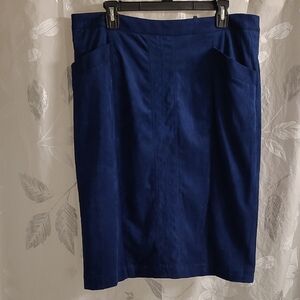 Elegant Blue Skirt